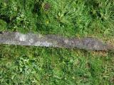 image of grave number 661514